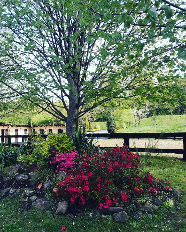 Agroturismo Anziola Ояртсун Екстериор снимка